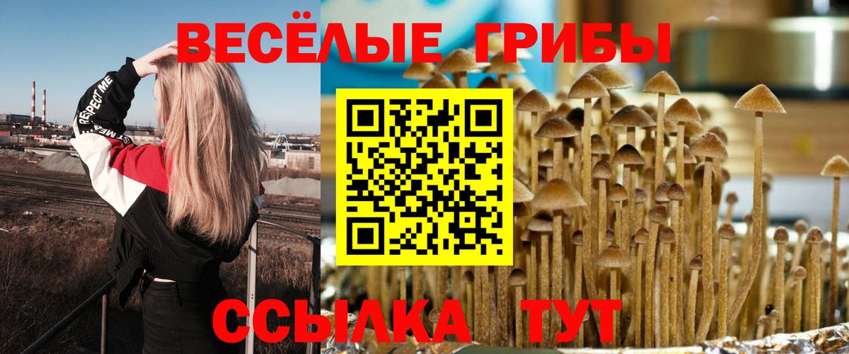 Галлюциногенные грибы MAGIC MUSHROOMS Бугуруслан