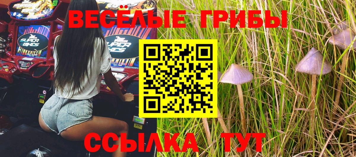 Бугуруслан  Псилоцибиновые грибы ЛСД  Галлюциногенные грибы Psilocybine cubensis  Вход с VPN 